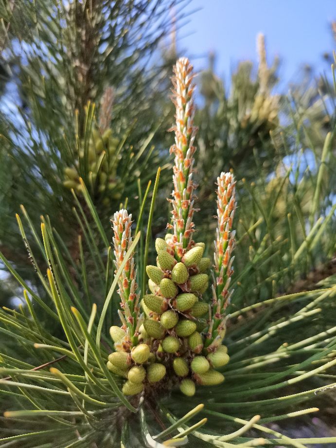 吃饱了来公园走走,吃饱喝足广场散步