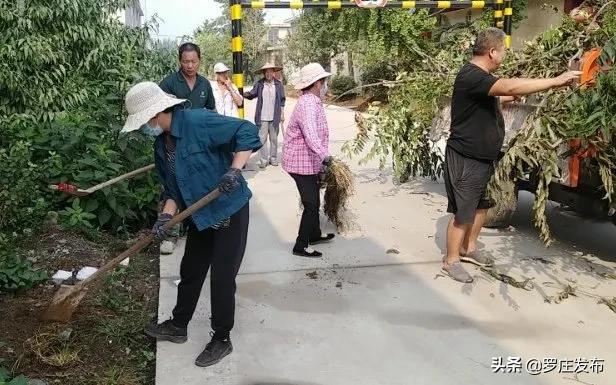 罗庄新闻决战创城,罗庄最新创城新闻