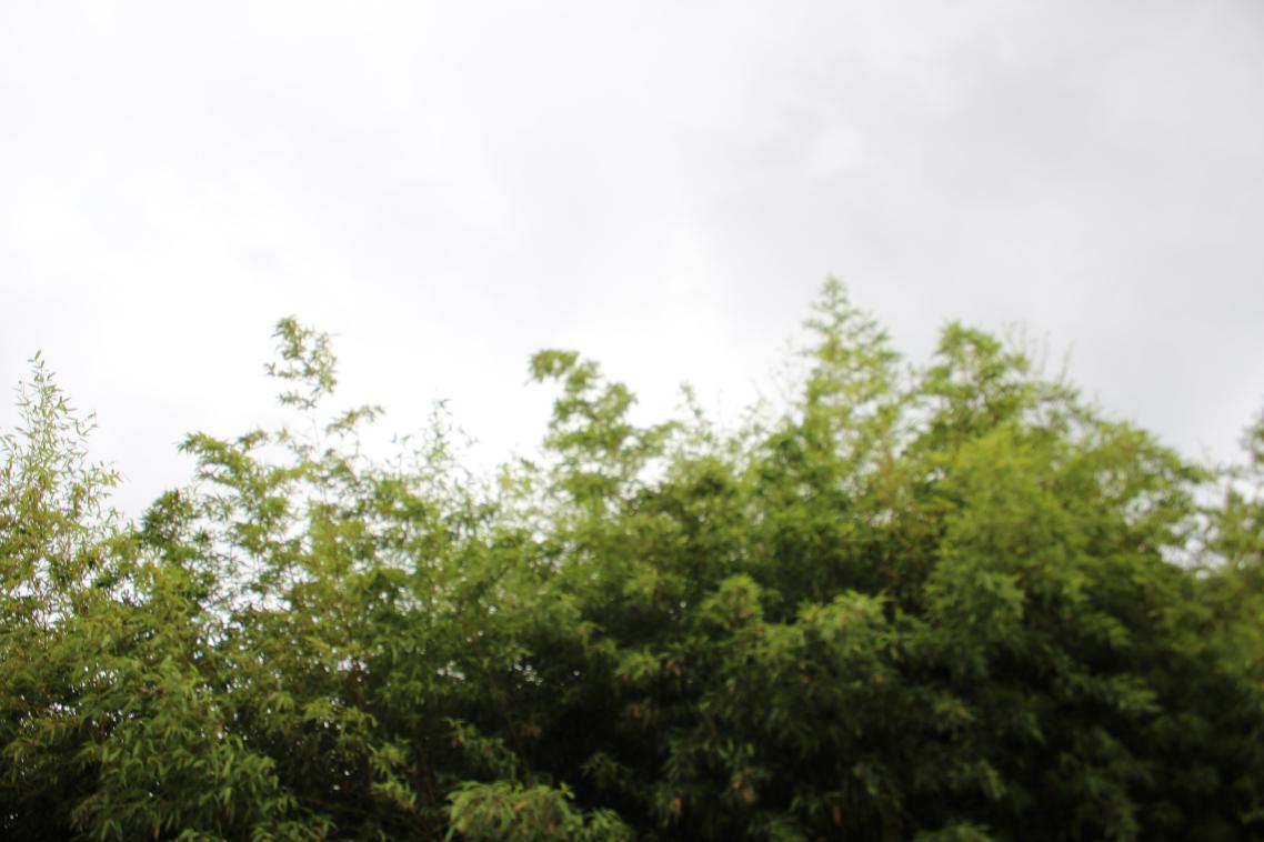 大理大理山水间,大理大理石博览馆