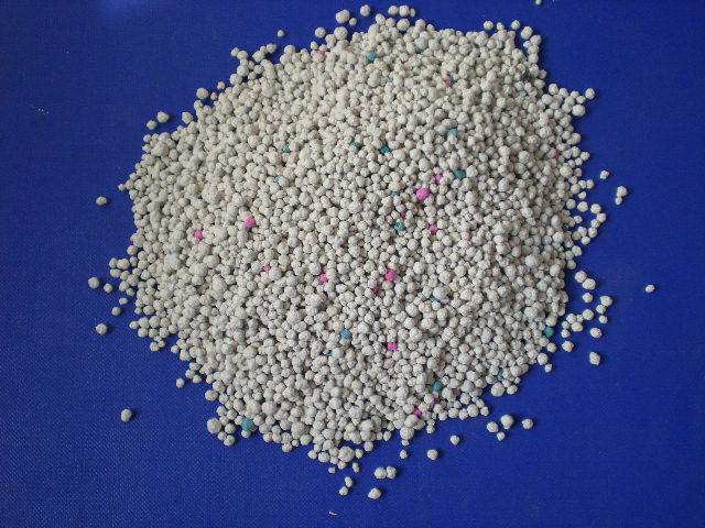 很乖的猫突然调皮了,很乖的猫开始乱尿