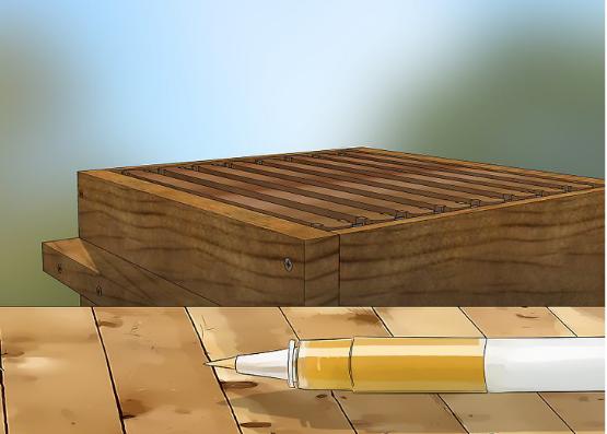 土养蜜蜂换王怎样方便找到蜂王,蜜蜂二十多只带一个蜂王怎么养殖