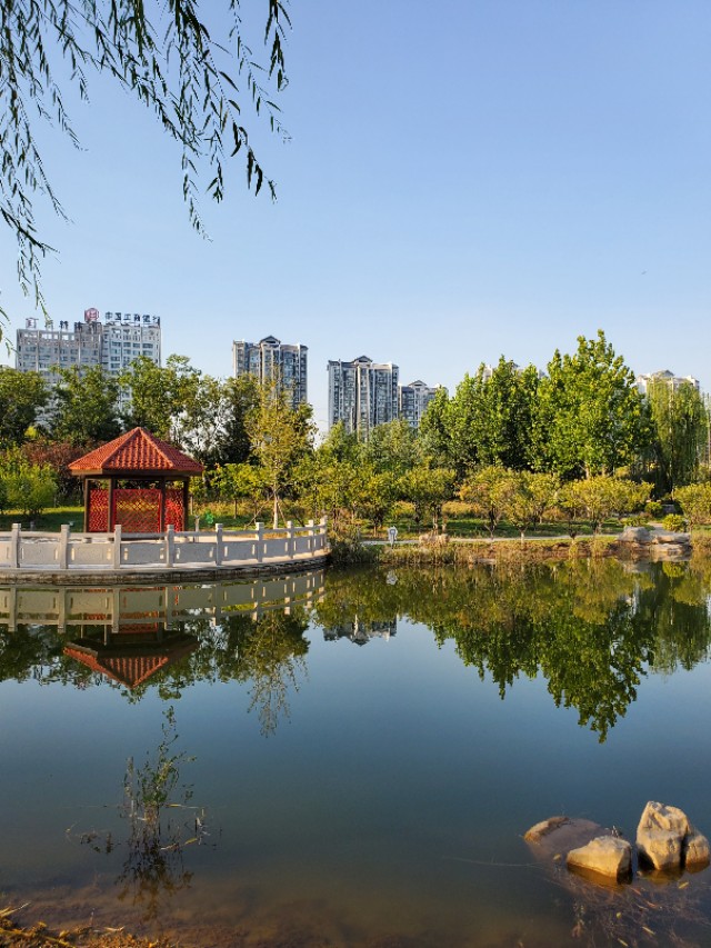 老憨妞视频,老憨妞的所有视频