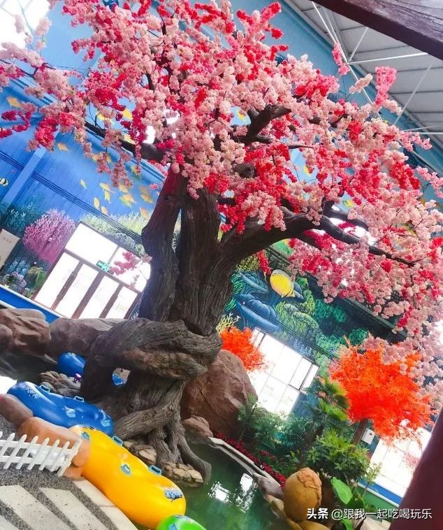 沈阳温泉水世界自助好吗,沈阳温泉池多的温泉