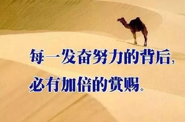 创业必备条件是什么,创业必备条件逆商