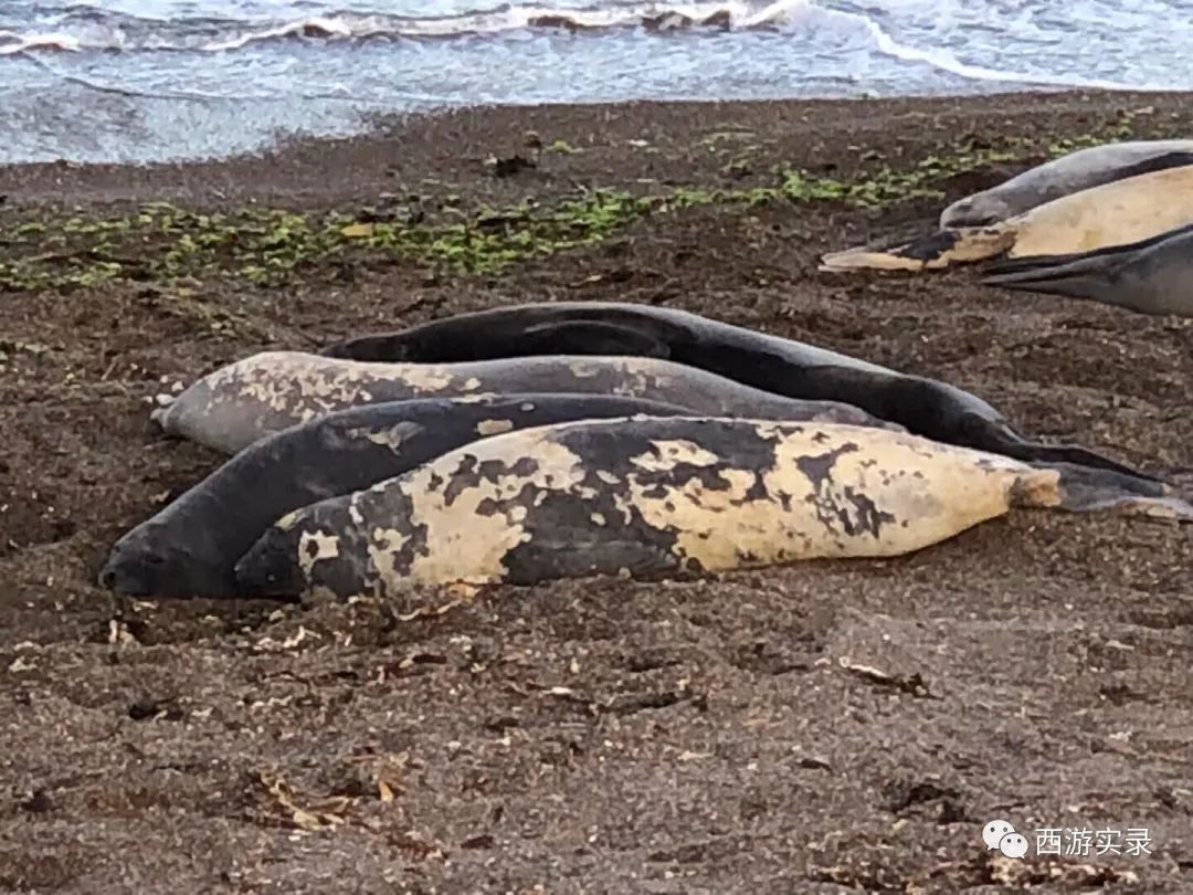 史上最牛沪C开到了世界尽头