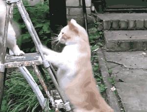 开心一刻gif下雨天,搞笑gif笑到肚子疼意外瞬间特辑