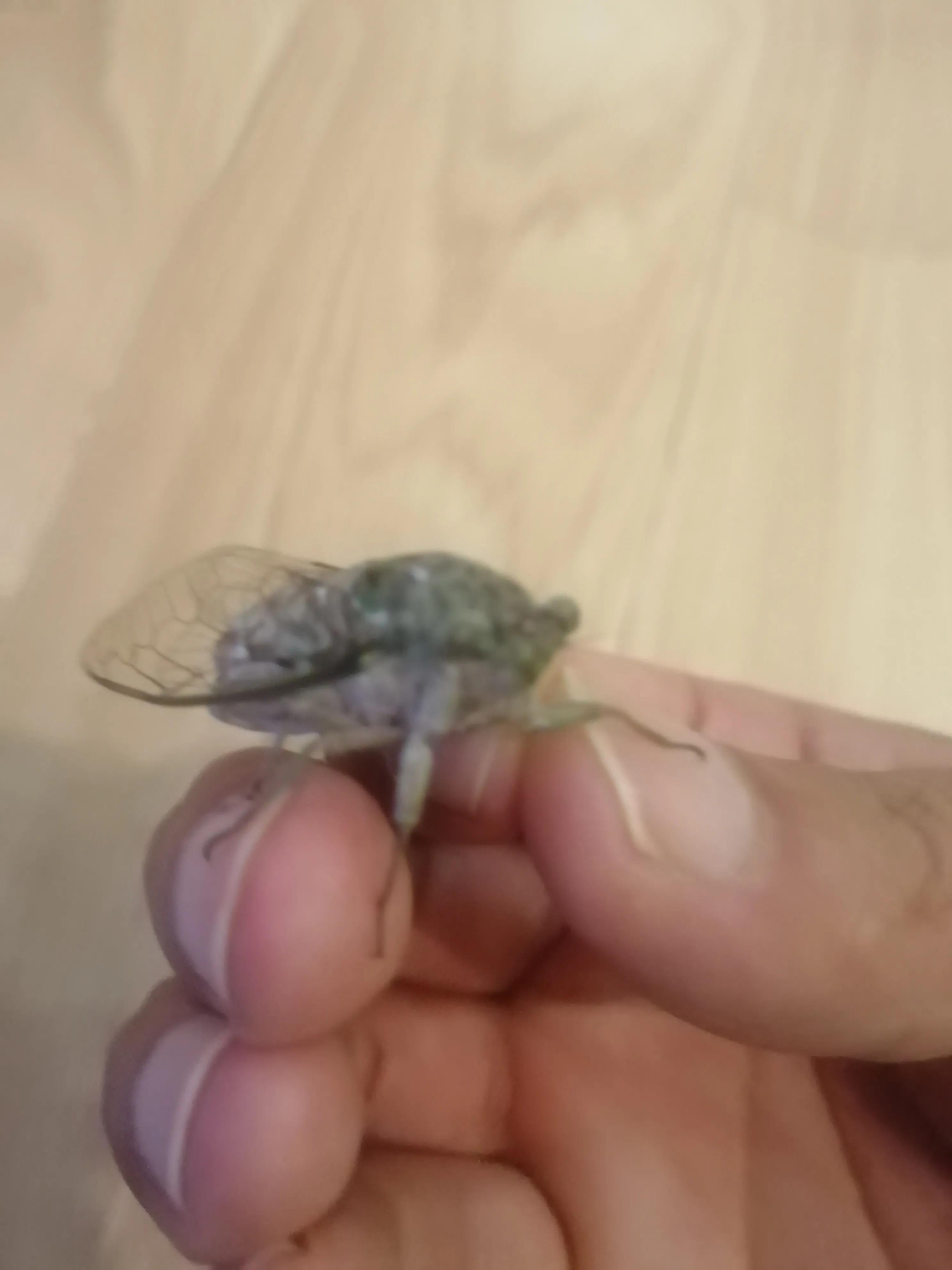 第一次养宠物就出糗了🙃