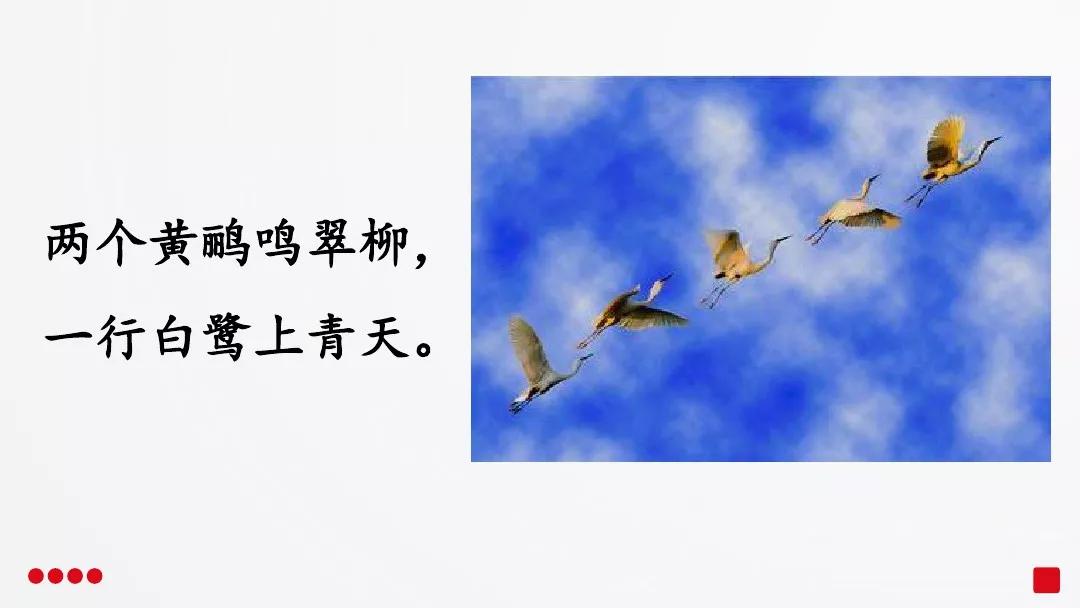 五年级部编版语文白鹭讲课视频,部编小学语文五年级上册白鹭课件