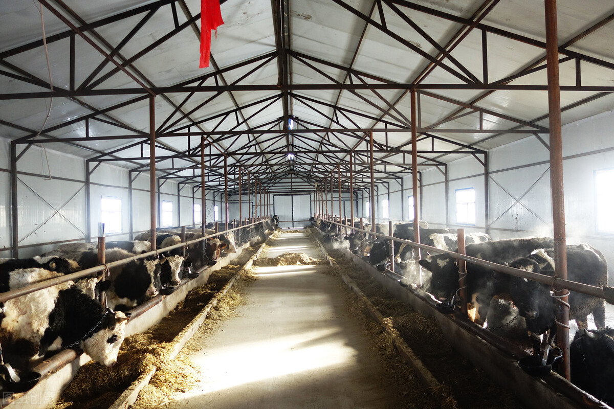 六安2021火爆加盟商机,六安医院商机