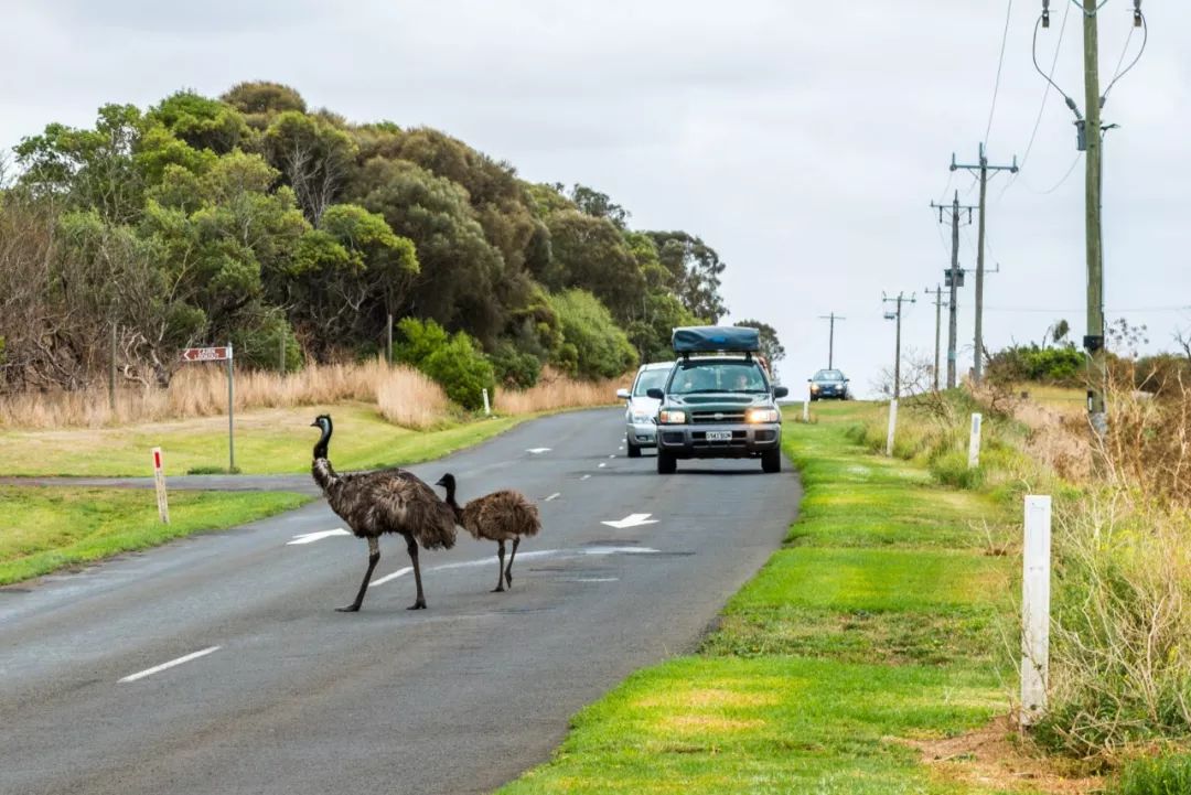 澳大利亚独特的自然风光,澳大利亚黄金海岸的美景