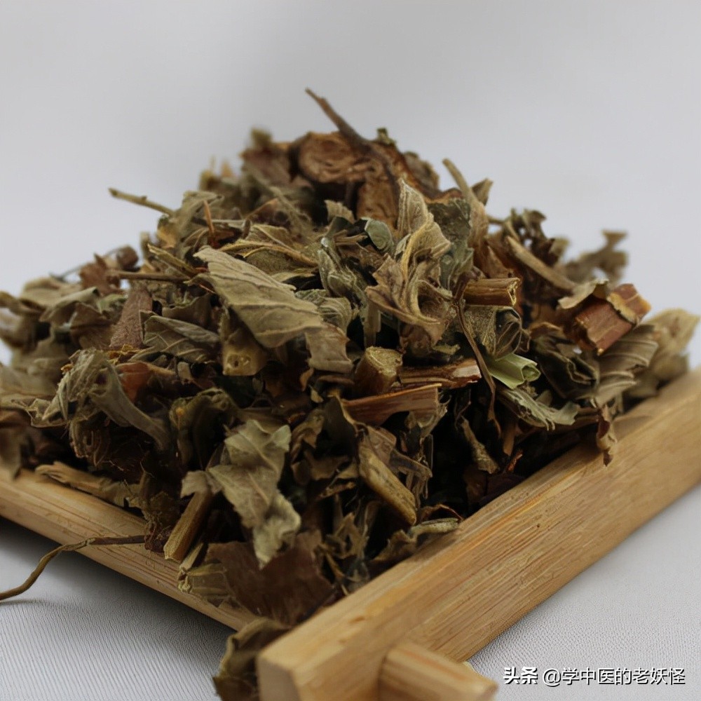 每天学习一味中药竹叶,鹤草芽功效与主治