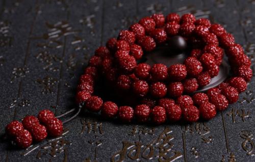 菩提都有哪种,菩提里面有朱砂粉才是真菩提吗