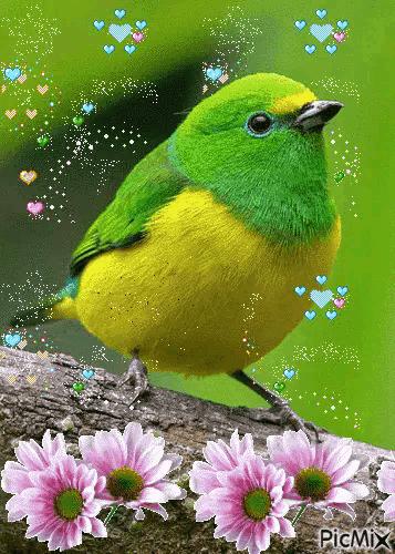 这是我见过最美丽的风景用英语,这是我见过最美的风景啥意思