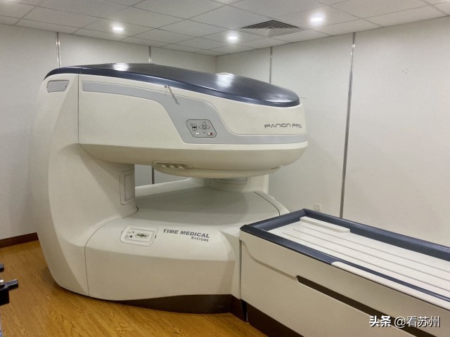 戴LV项圈、吃进口零食、住定制宾馆，网友：活得不如狗