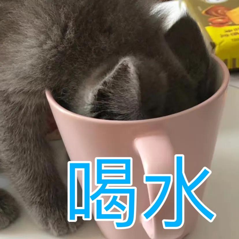 过年嗑瓜子太多上火了咋办,过年嗑瓜子嘴巴麻怎么办