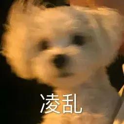 天气预报总不会骗人吧,天气预报为什么没有别人准