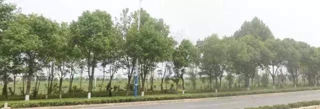 芜湖5路公交车最新路线和时间,芜湖公交记忆