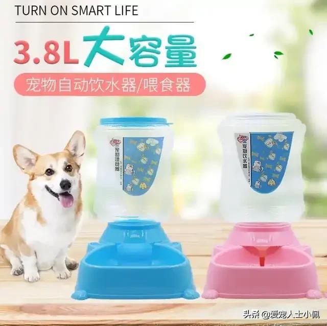 养狗需要具备哪些条件,养狗需要哪些条件