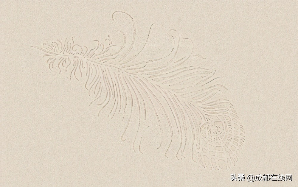 家装涂料哪个牌子好用环保,家装内墙涂料哪个牌子好