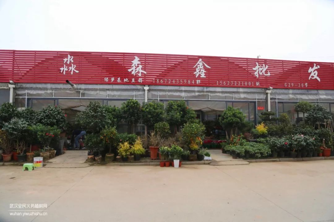 园艺沙龙|前方高能！一大波人相约逛花市，究竟淘了些啥？