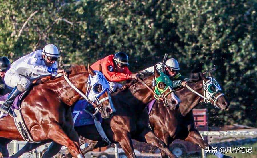 抓拍运动人物拍摄技巧,摄影技巧拍视频风景