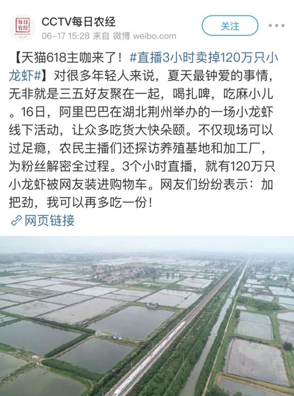 安阳直播卖小龙虾的,诸暨直播卖小龙虾鲜活