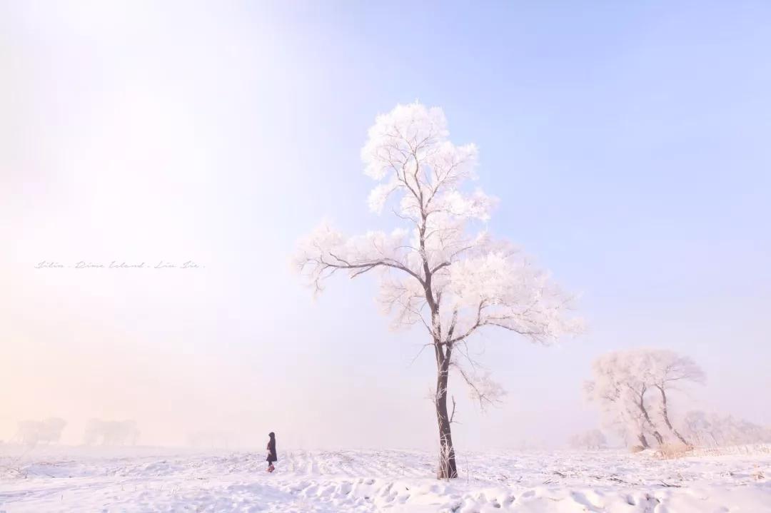 60岁前必去的中国各省区最美天堂,全国各省最美天堂你都去对了吗