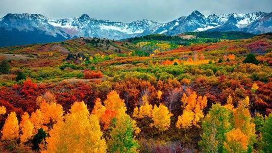 与癌症结缘了,与癌结缘就是做不完的检查