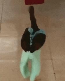 看了整整七分钟，他们最终还是上去了