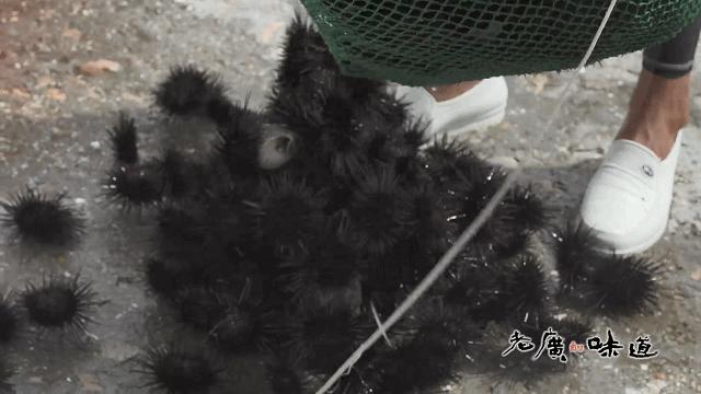 2月份广东适合吃啥海鲜,如何不出地铁站吃到美食