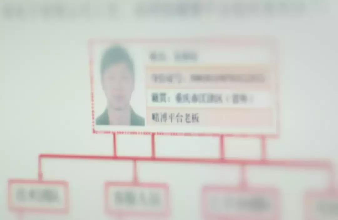 嘉兴网络赌博案件,嘉兴特大赌博案