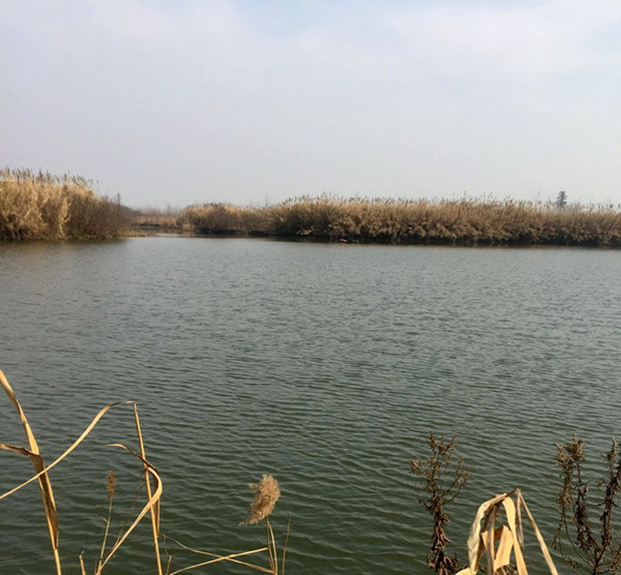 路亚翘嘴鱼到岸边为什么能脱钩呢,怎么路亚翘嘴和白条