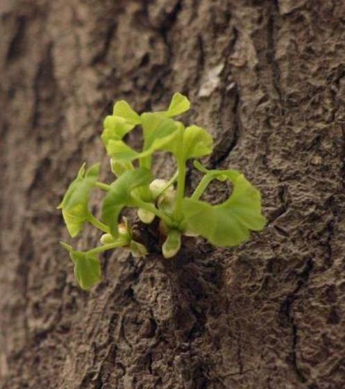 心理测试测你是吉相命还是苦命,心理测试测你的事业是否成功兴旺