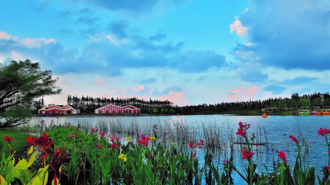 上海国庆免费景点推荐,上海值得去的免费景点旅游攻略