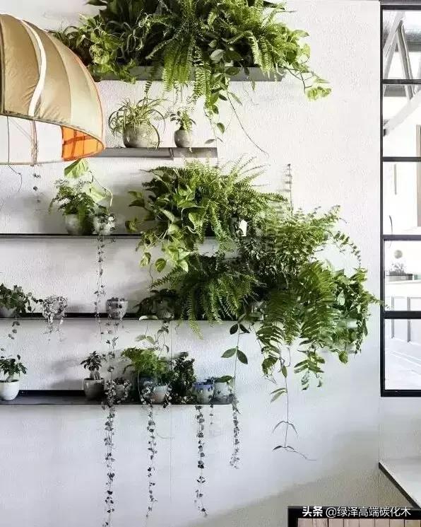 室内花花草草怎么布置,怎样把花花草草弄墙上