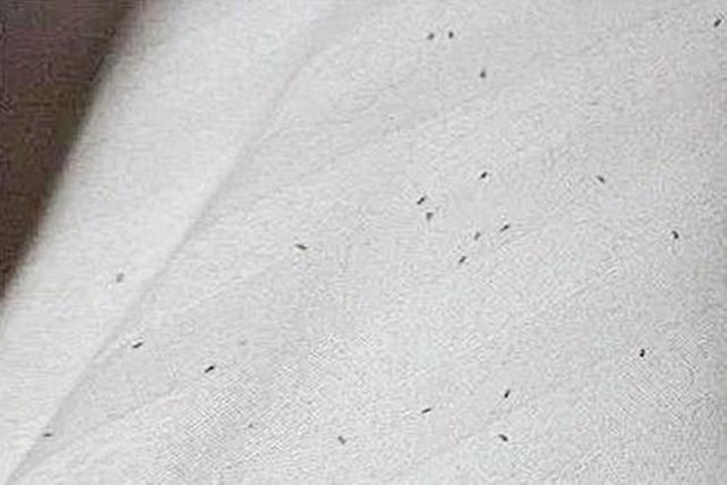 六个月大的宝宝身上起鸡皮疙瘩,10个月大的宝宝身上长满红疙瘩