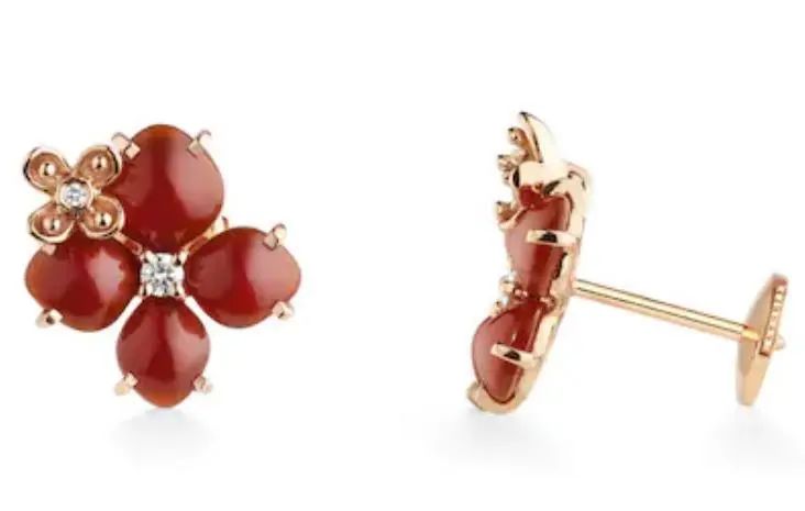 灏氱編宸撮粠鏄庢槦鍚屾,灏氱編宸撮粠棣栭グ娆惧紡鏍囧織