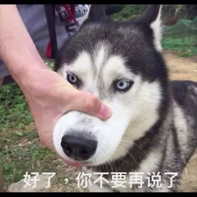 给狗狗做绝育的处方,狗狗绝育后性格