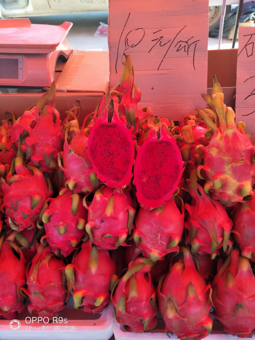 四川姑娘在新疆的生活日常,四川姑娘在南疆记录美好生活