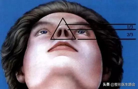 什么样的鼻子才算挺,什么样的鼻子才算有肉