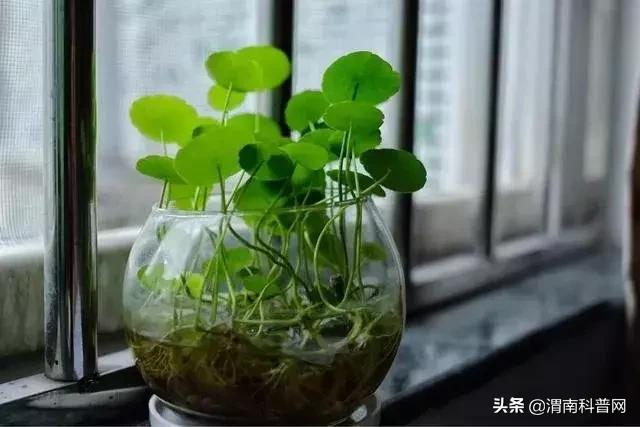 空调房里感觉有臭味怎么回事,空调有股味道对身体有影响吗