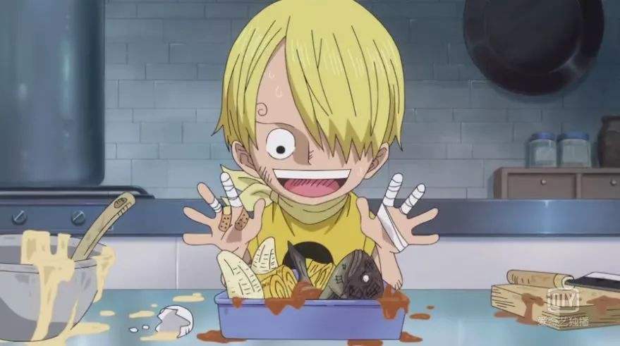 还记得海盗帽吗,草帽海贼团所有成员合照