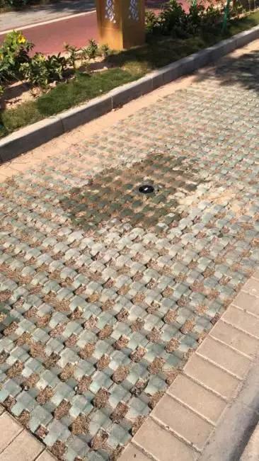 捷顺科技智慧停车平台,捷停车捷顺科技