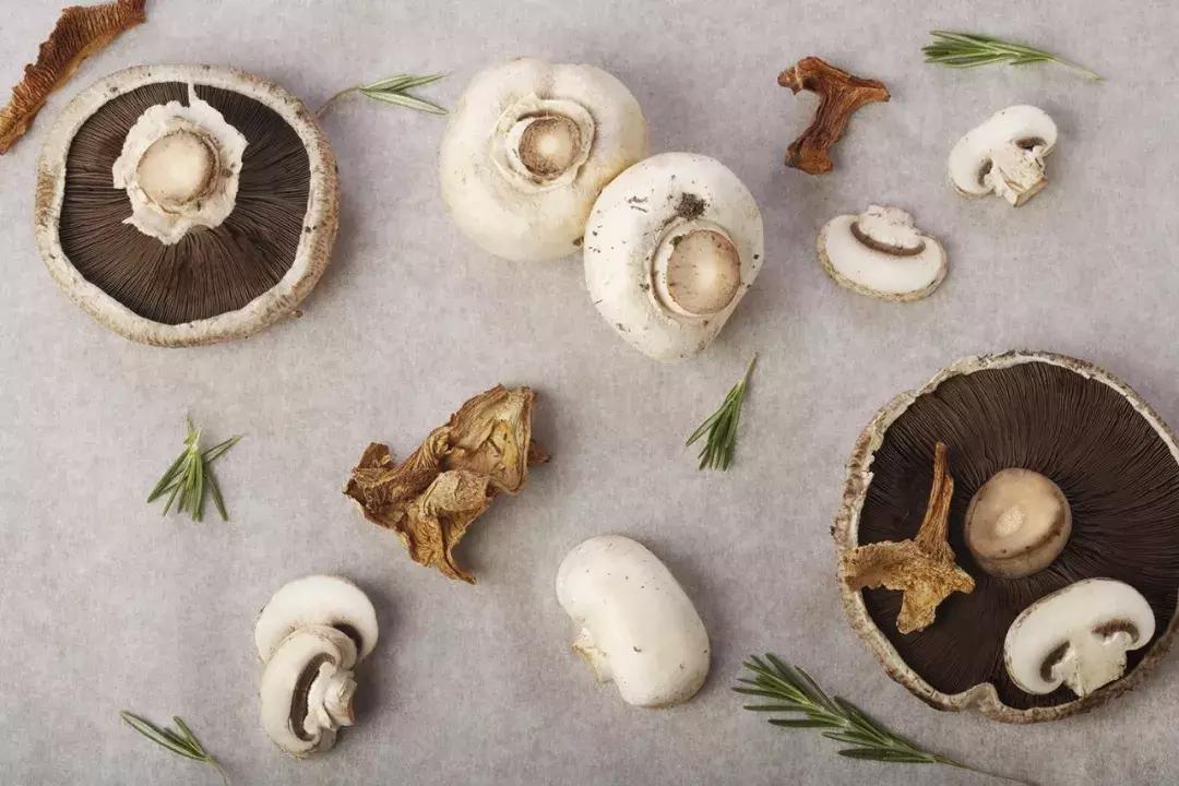 铇戣弴鐑疆,鑿岀被鏂板搧