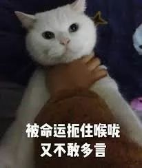 魔童哪吒抖音视频,魔童小哪吒的视频