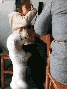 公路车搞笑gif,越野技术搞笑gif