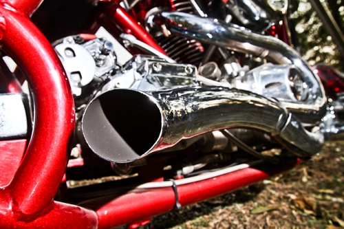 美国定制大象,美国定制大狗摩托车