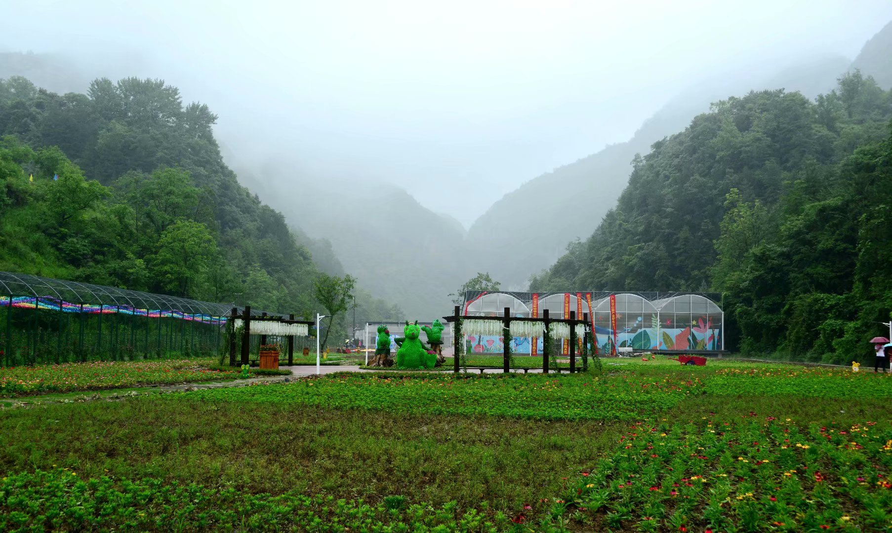 六月回忆儿时校园,六月回忆童年