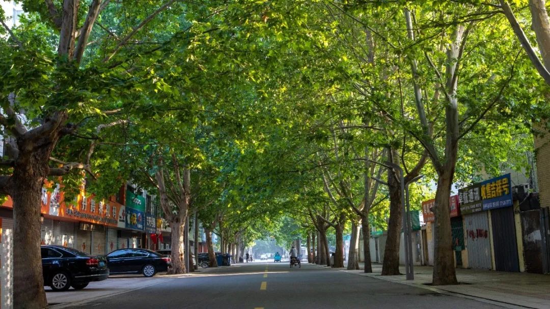 哪凉快哪呆着去绝对是真理,寿光风景优美的地方