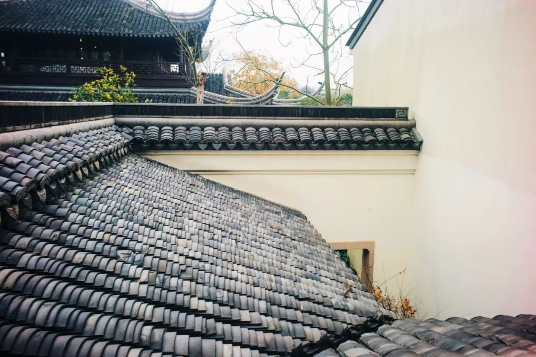 杭州四季如春景点,杭州最仙气的景点